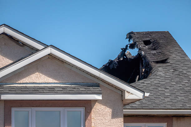 Licensed Board Up Services service in Paradise Valley, AZ - Fire Damage Laser Cleaning